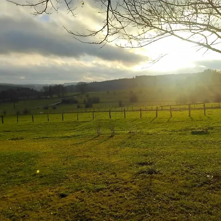 Abri De Jardin Vielsalm