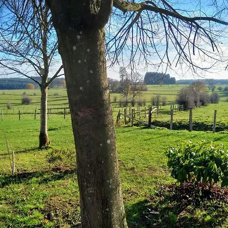 Abri De Jardin Alpehytte *