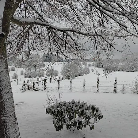 Alpehytte Abri De Jardin Vielsalm