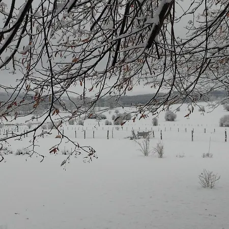 Abri De Jardin * Vielsalm